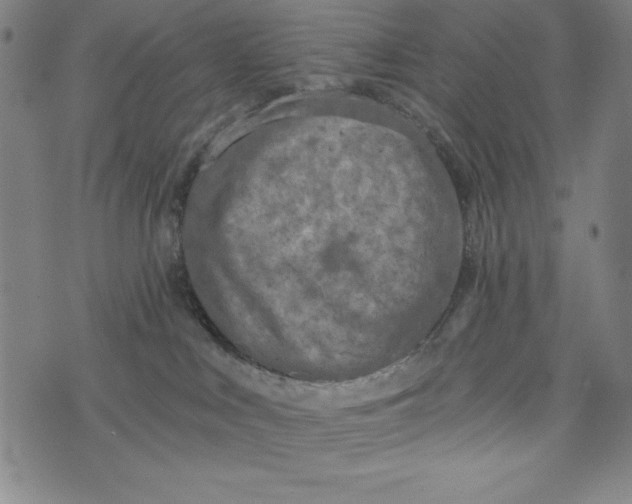 X0000073990043200609111544