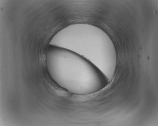 X0000073990045200609111544