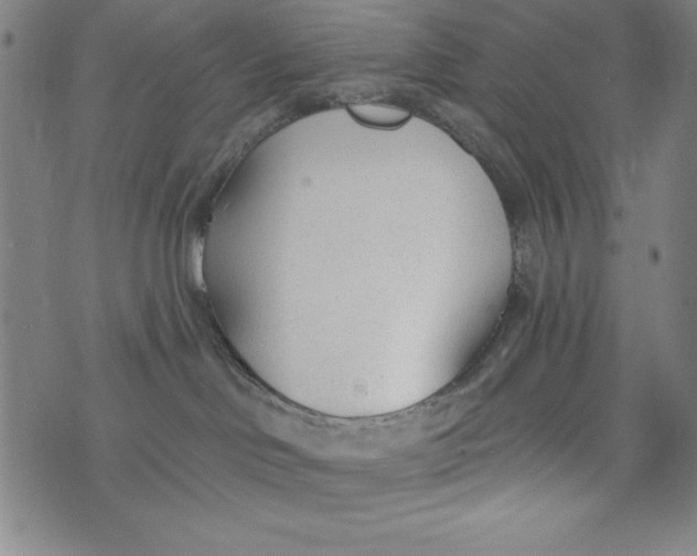 X0000073990046200609111544