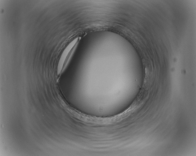 X0000073990048200609111544