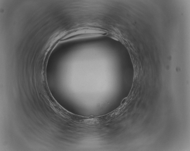 X0000073990050200609111543