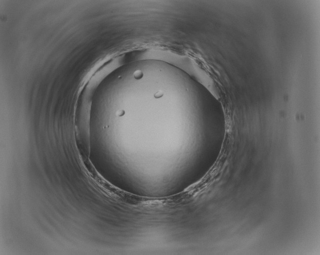 X0000073990052200609111543