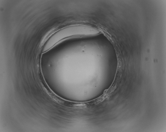 X0000073990053200609111543