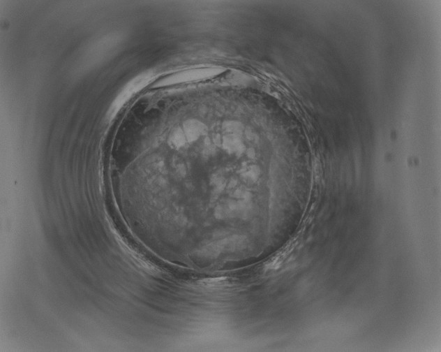 X0000073990054200609111543