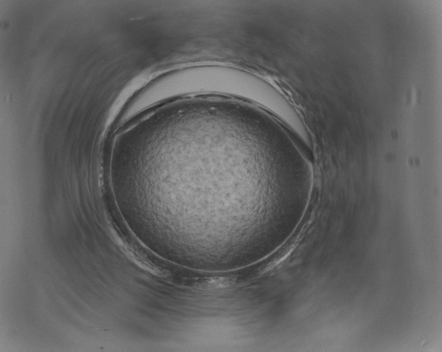 X0000073990056200609111543