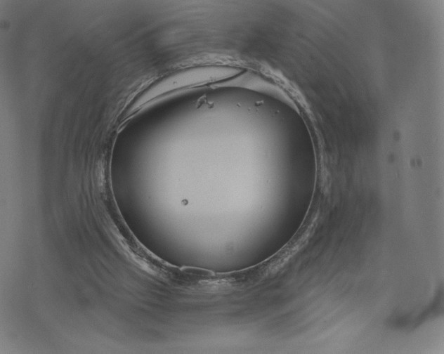 X0000073990057200609111543