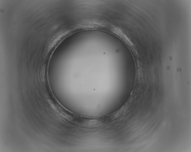 X0000073990058200609111543