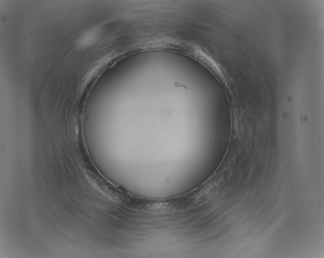 X0000073990059200609111543