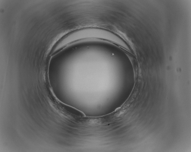 X0000073990060200609111543