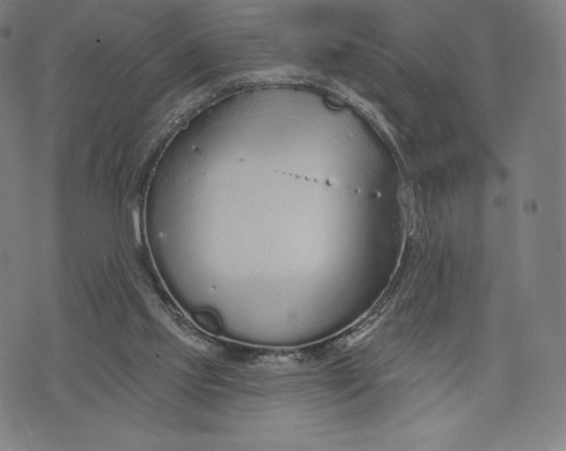 X0000073990061200609111543