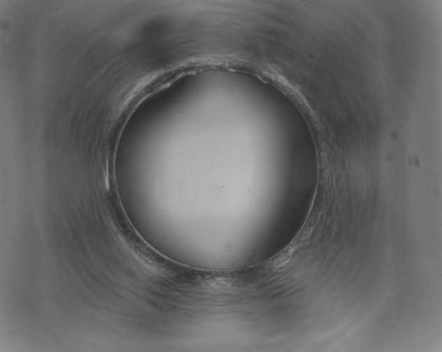 X0000073990062200609111543