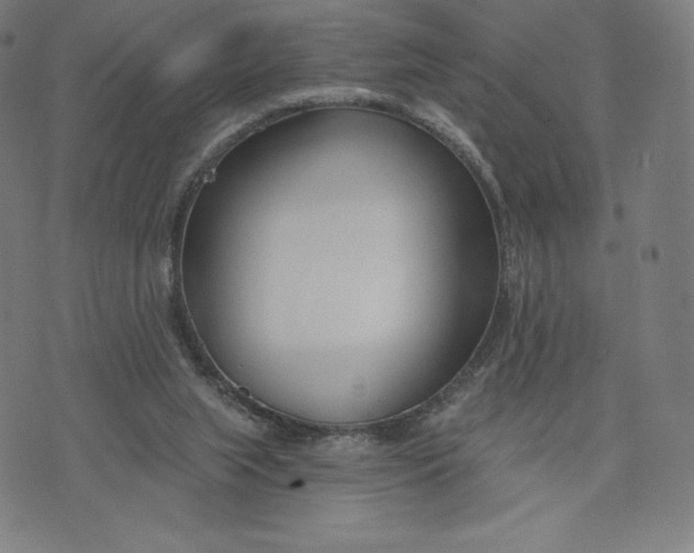 X0000073990063200609111543