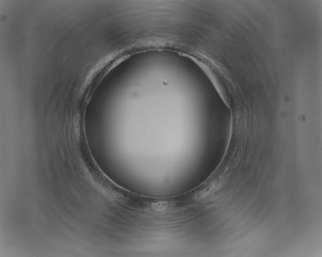 X0000073990064200609111543