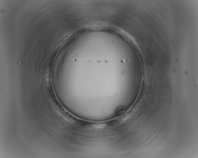 X0000073990065200609111543