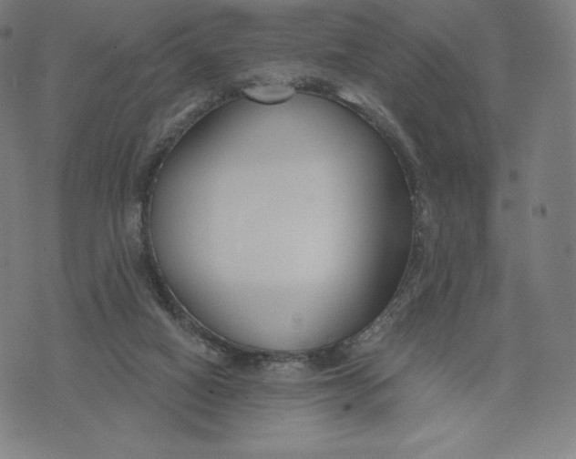 X0000073990066200609111543