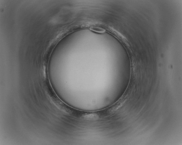 X0000073990067200609111543