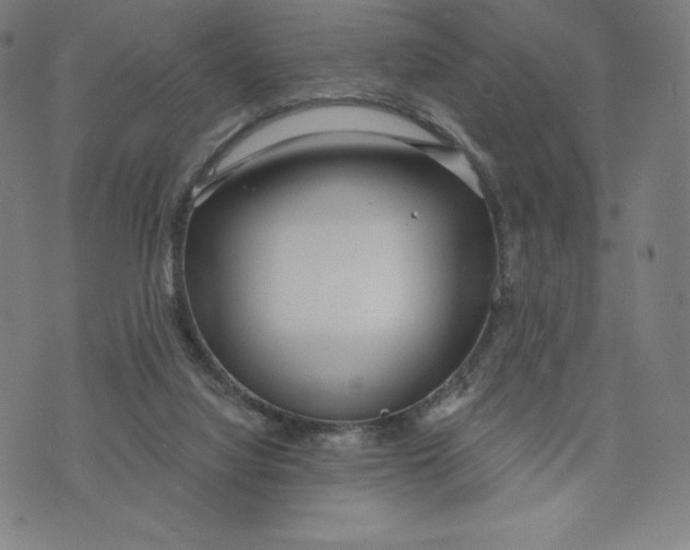 X0000073990068200609111544