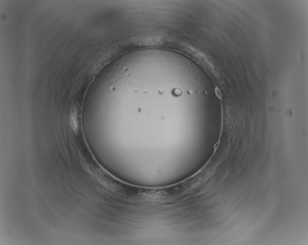 X0000073990069200609111544