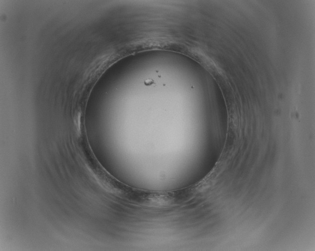 X0000073990070200609111544