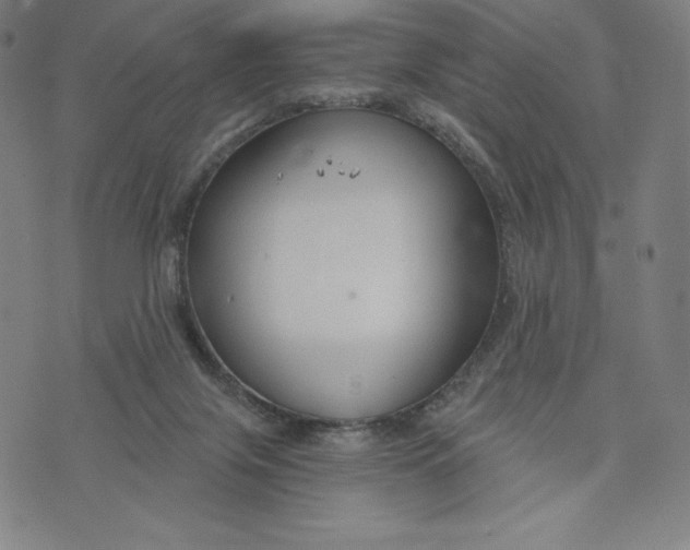 X0000073990071200609111544