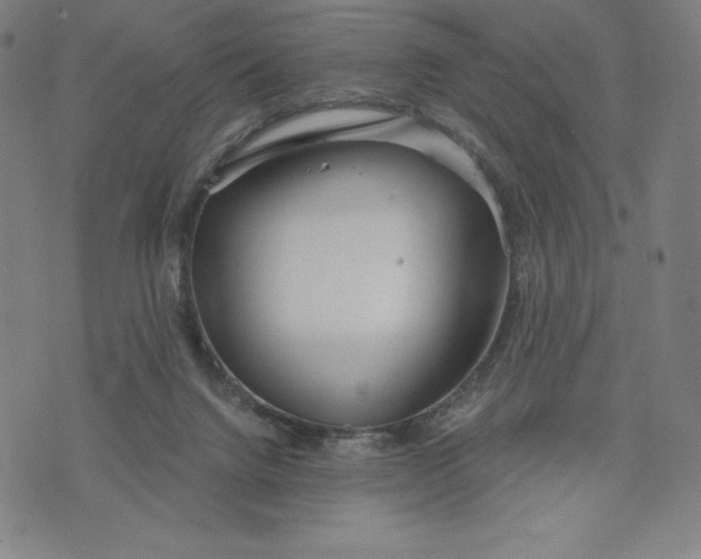 X0000073990072200609111544