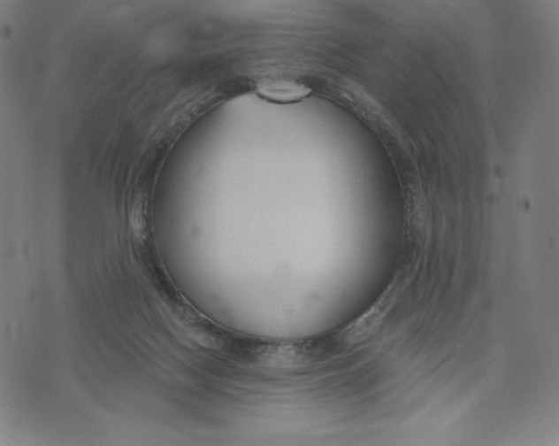 X0000073990074200609111544