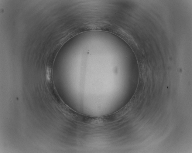 X0000073990075200609111544