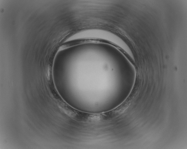 X0000073990076200609111544