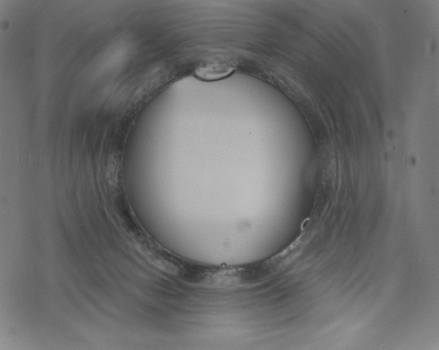 X0000073990078200609111544