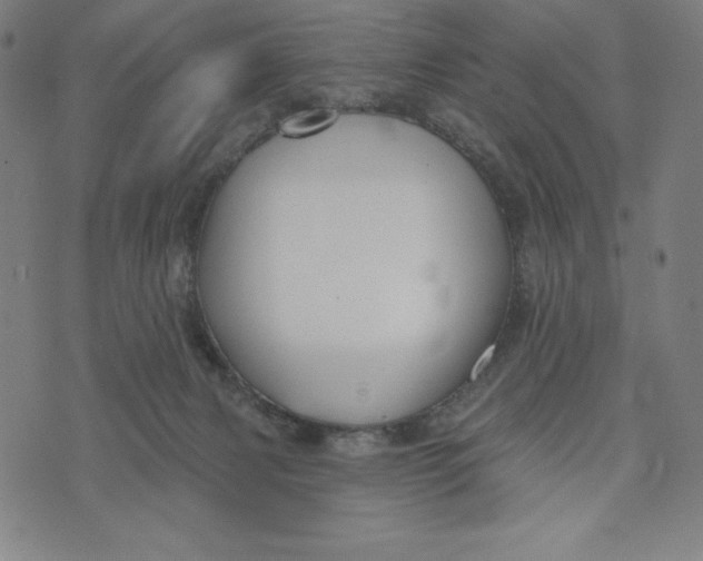 X0000073990079200609111544