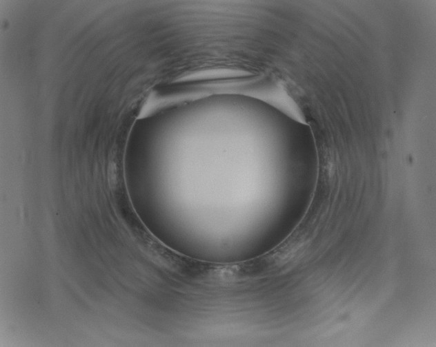 X0000073990080200609111544