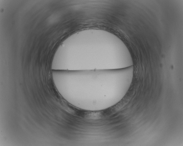 X0000073990081200609111544