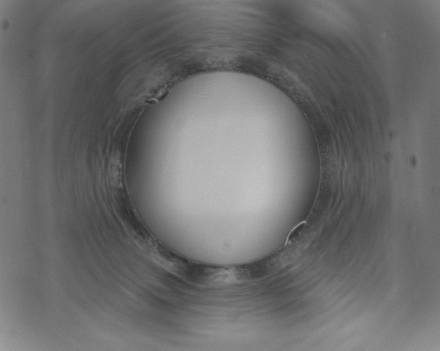 X0000073990083200609111544