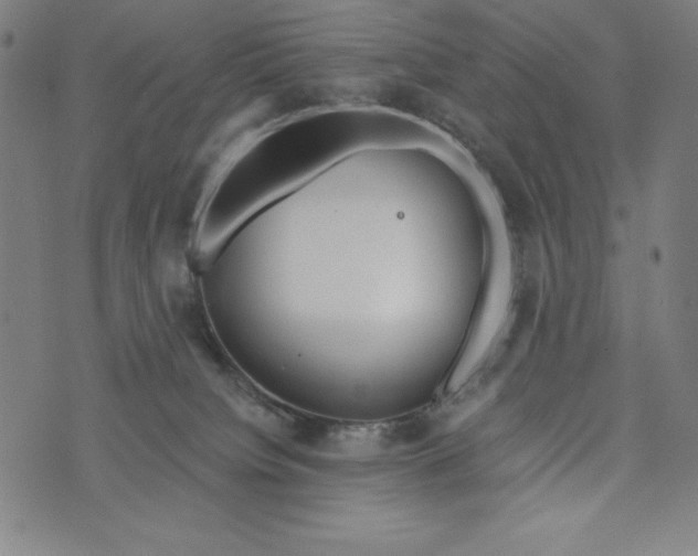 X0000073990084200609111544