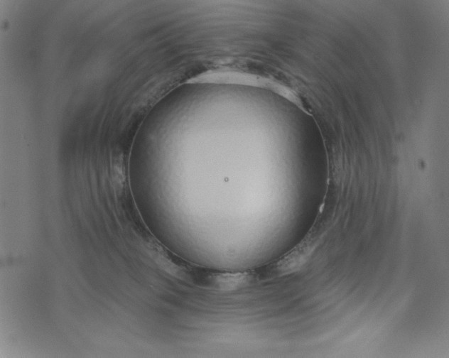 X0000073990085200609111544