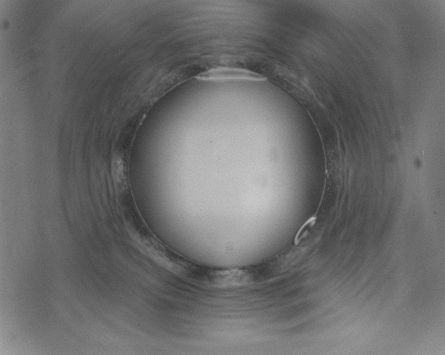 X0000073990087200609111544