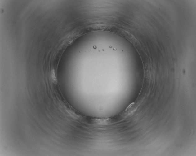 X0000073990089200609111544