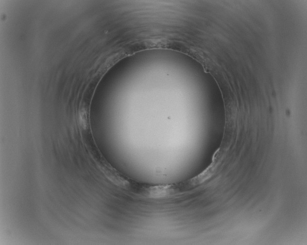 X0000073990090200609111544