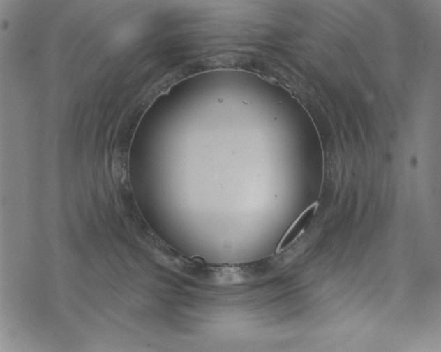 X0000073990091200609111544