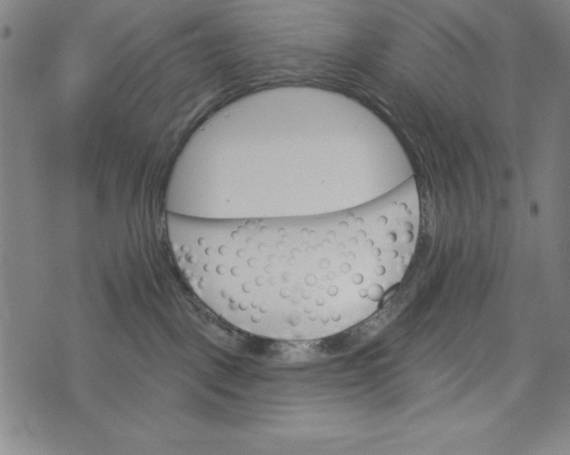 X0000073990093200609111544