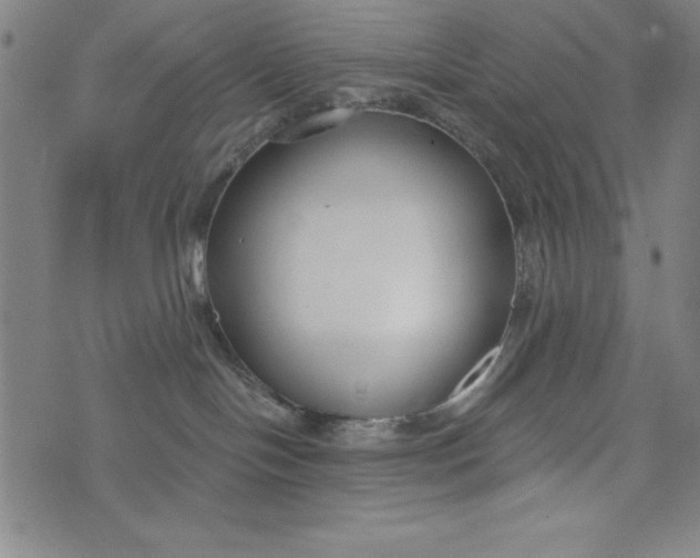 X0000073990094200609111544