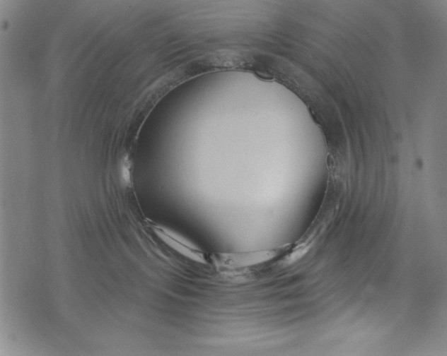 X0000073990095200609111544