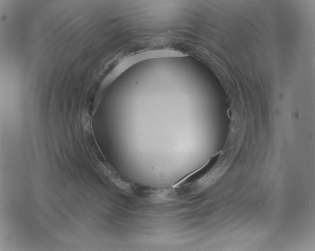 X0000073990096200609111544