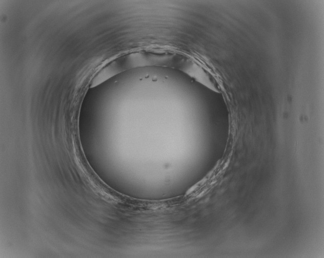 X0000073990097200609111543