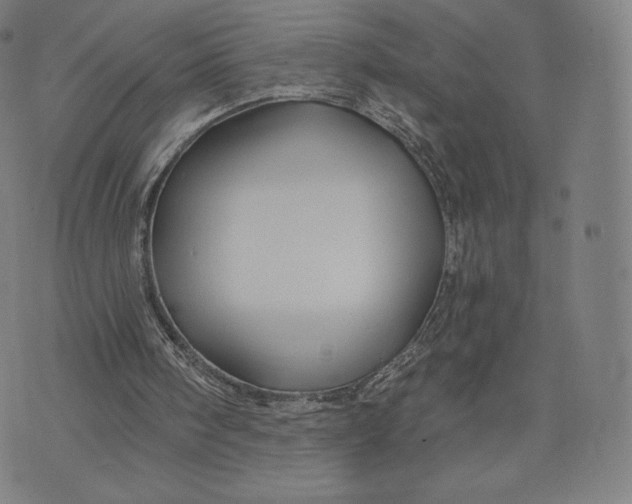 X0000073990098200609111543