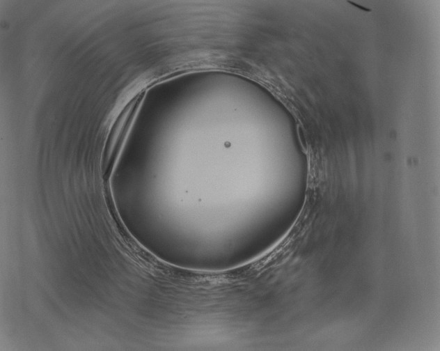 X0000073990099200609111543