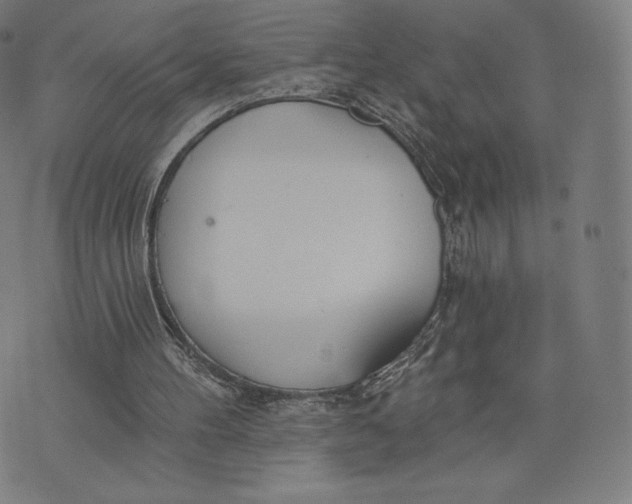 X0000073990100200609111543