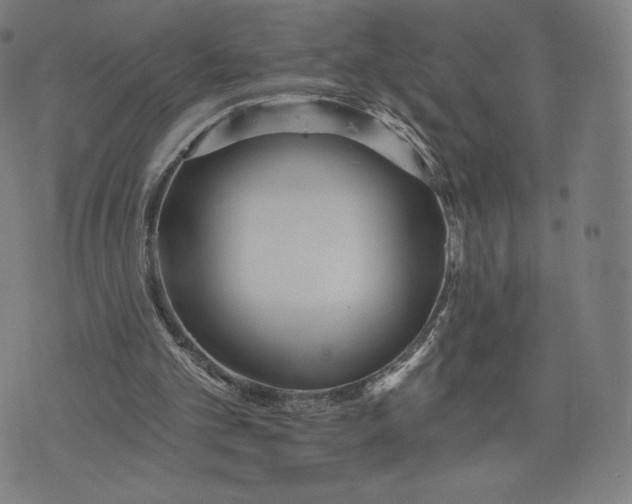 X0000073990101200609111543