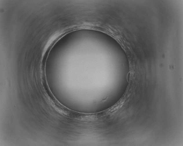 X0000073990102200609111543