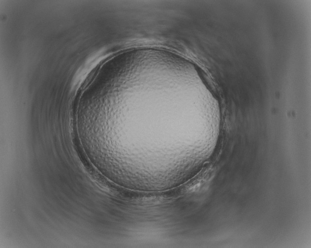 X0000073990103200609111543